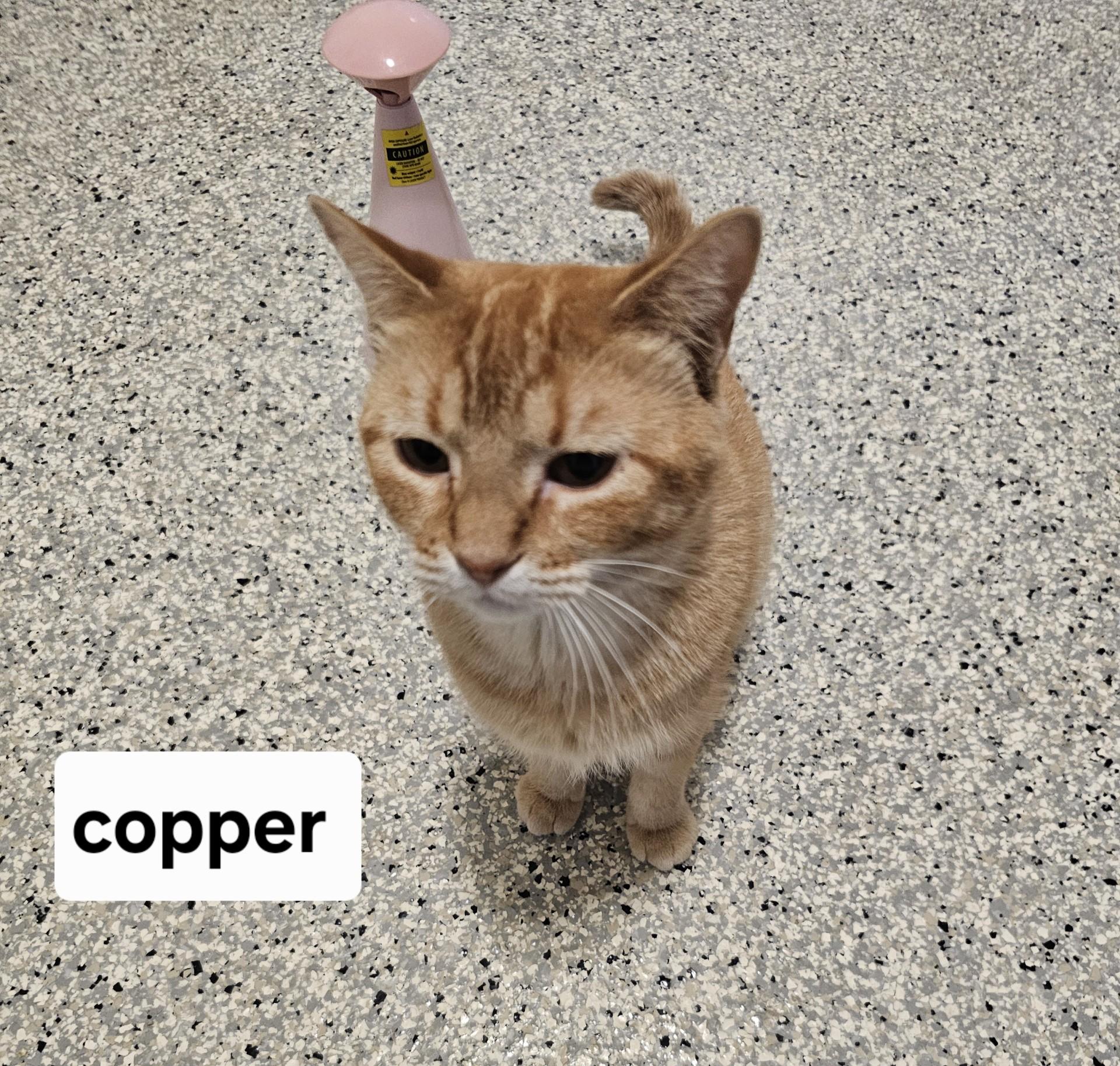 Copper