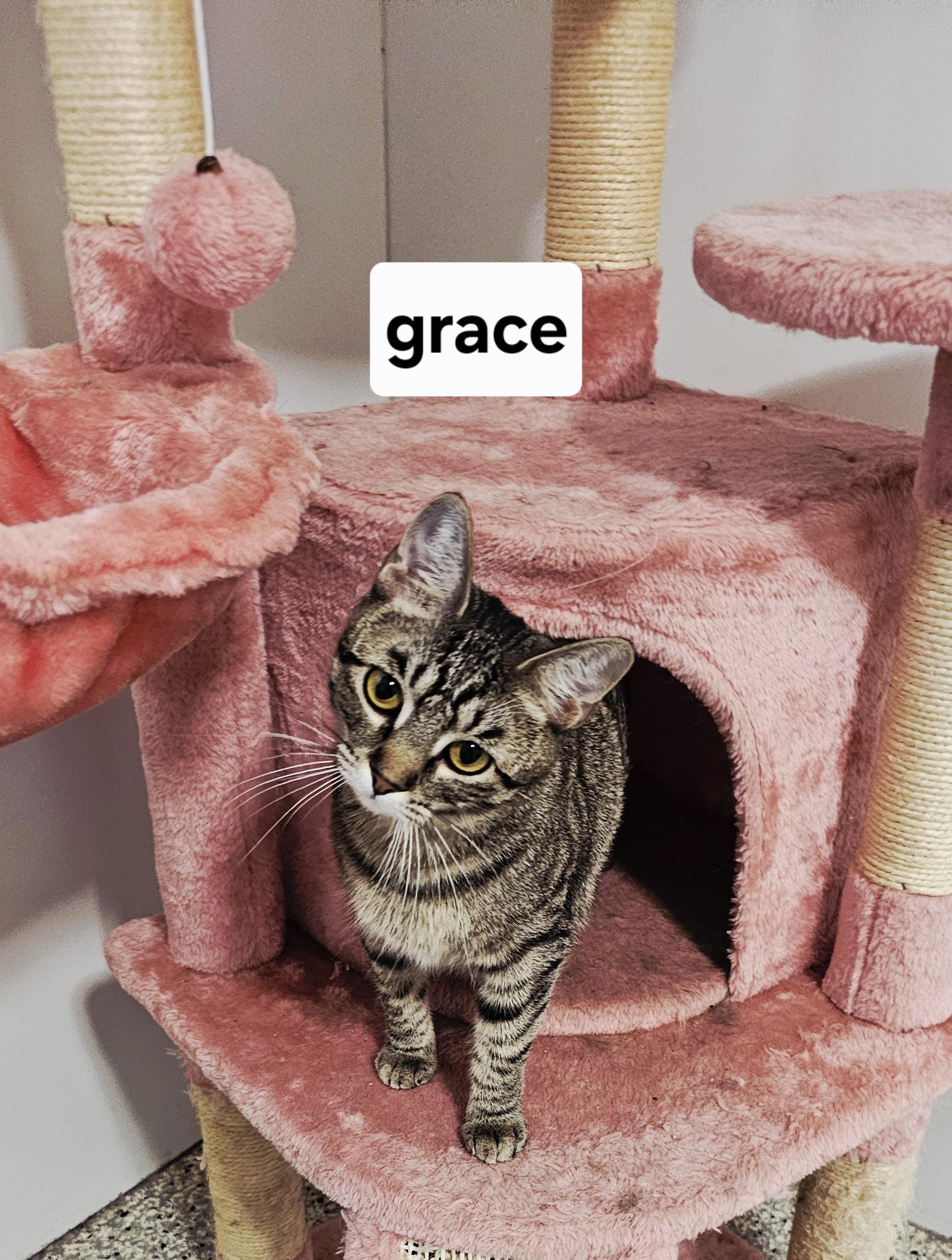 Grace