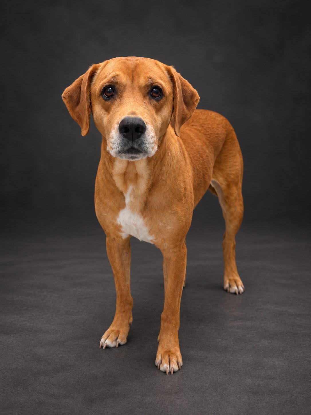 Winnie
