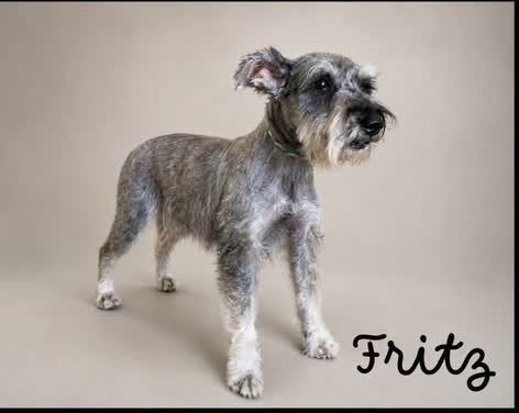 Fritz