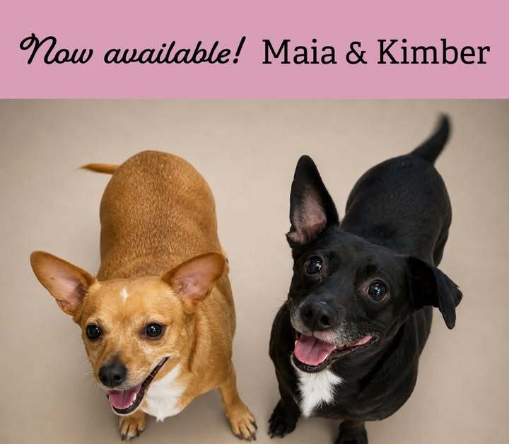 Maia & Kimber