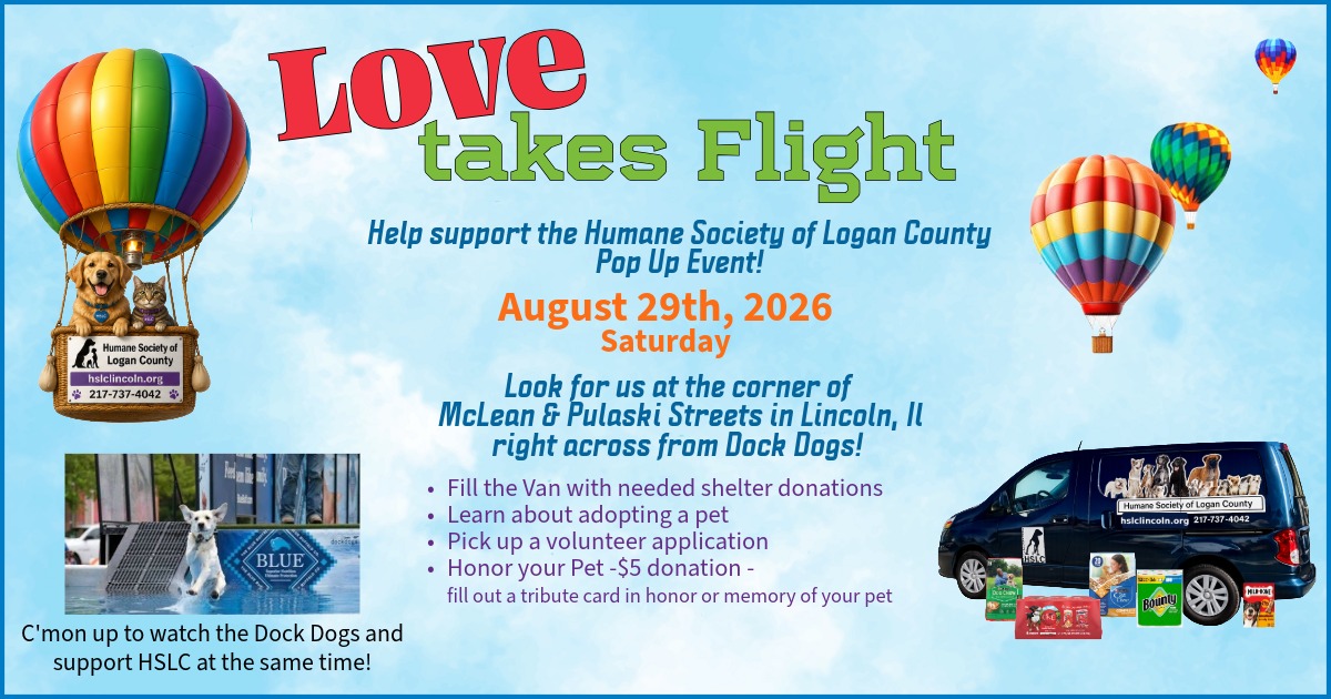 Love Takes Flight at Balloons Over 66 flyer