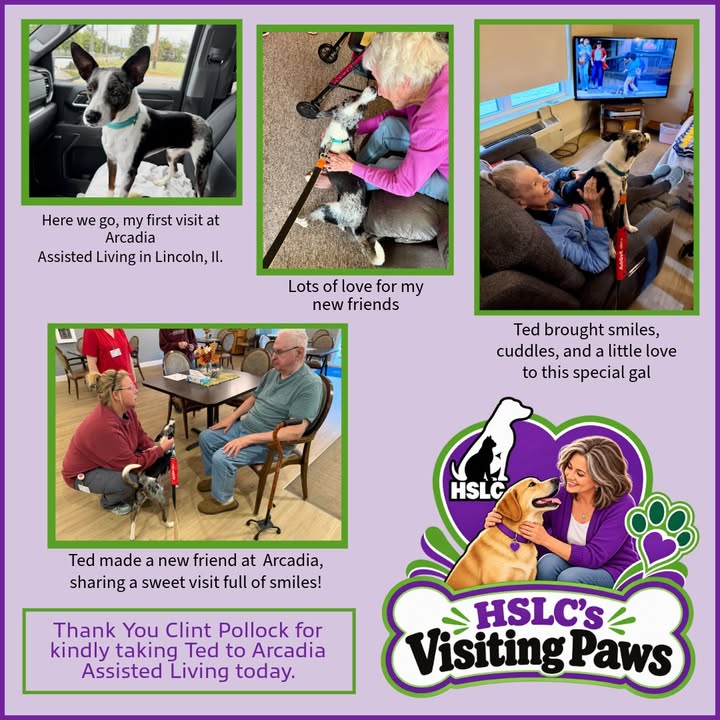 HSLC's Visiting Paws: Ted Visits Arcadia Assisted Living