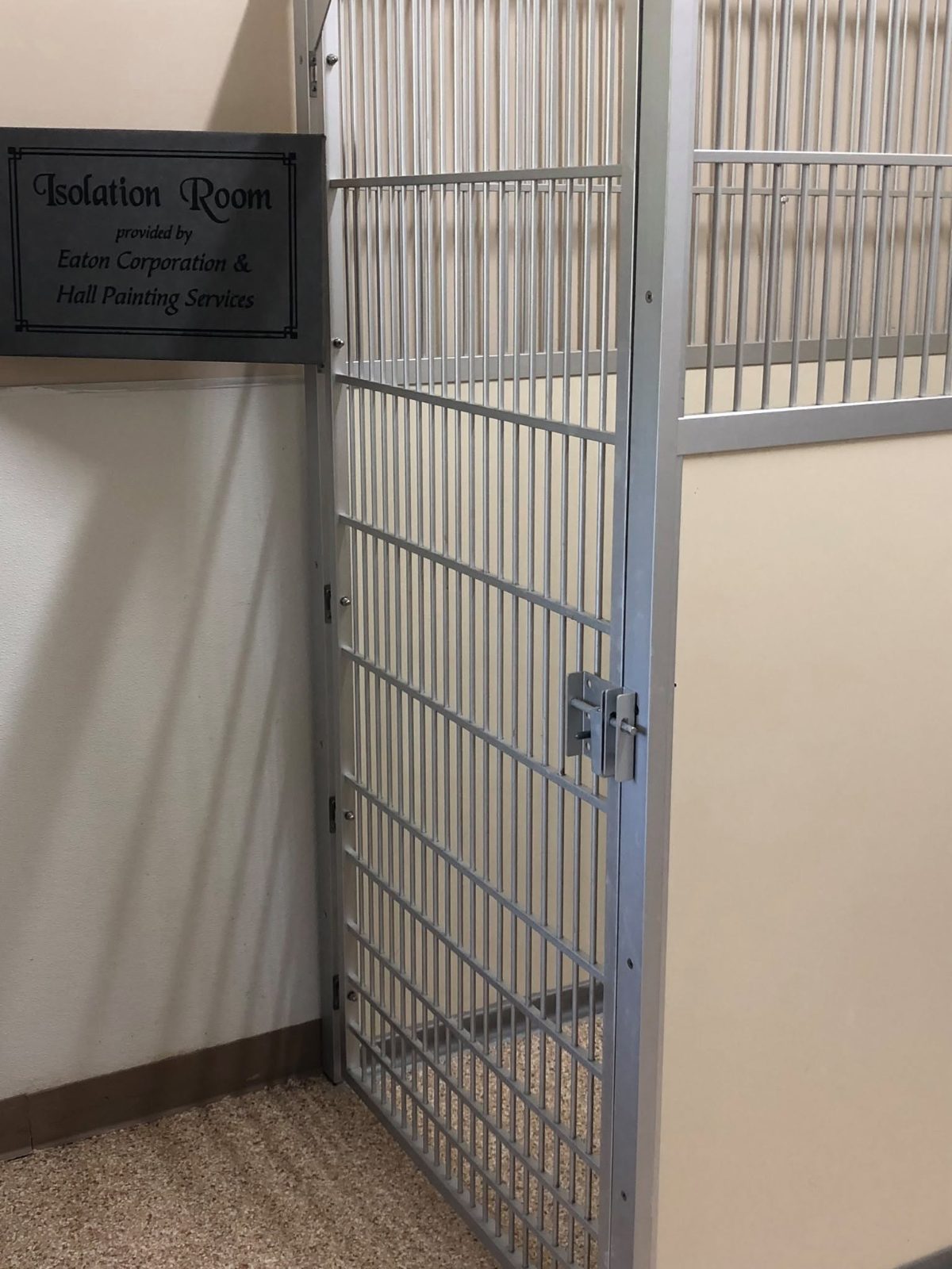 Cat Isolation Room Upgrades photo 2