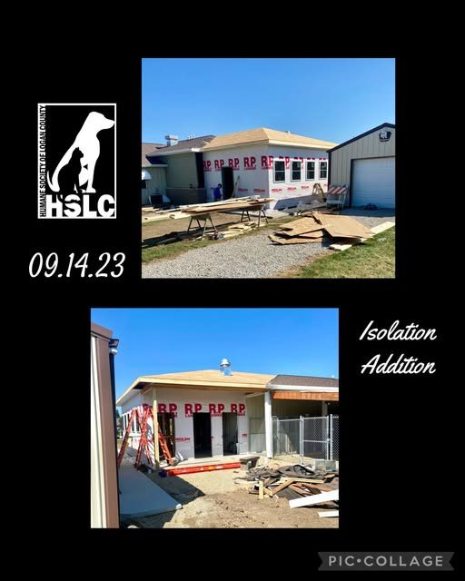 Dog Isolation Addition & Shelter Improvements photo 7