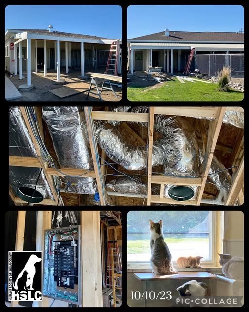 Dog Isolation Addition & Shelter Improvements photo 6