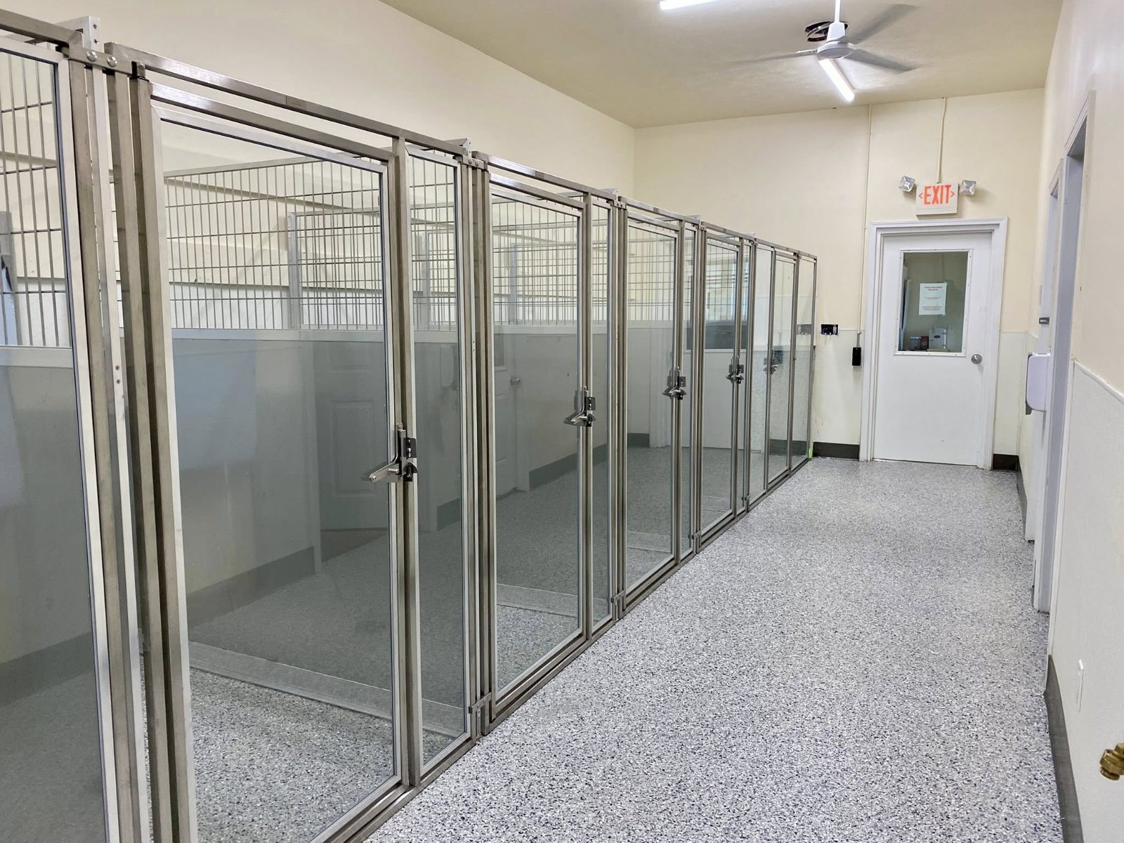 Dog Room New Floor New Kennels photo 4