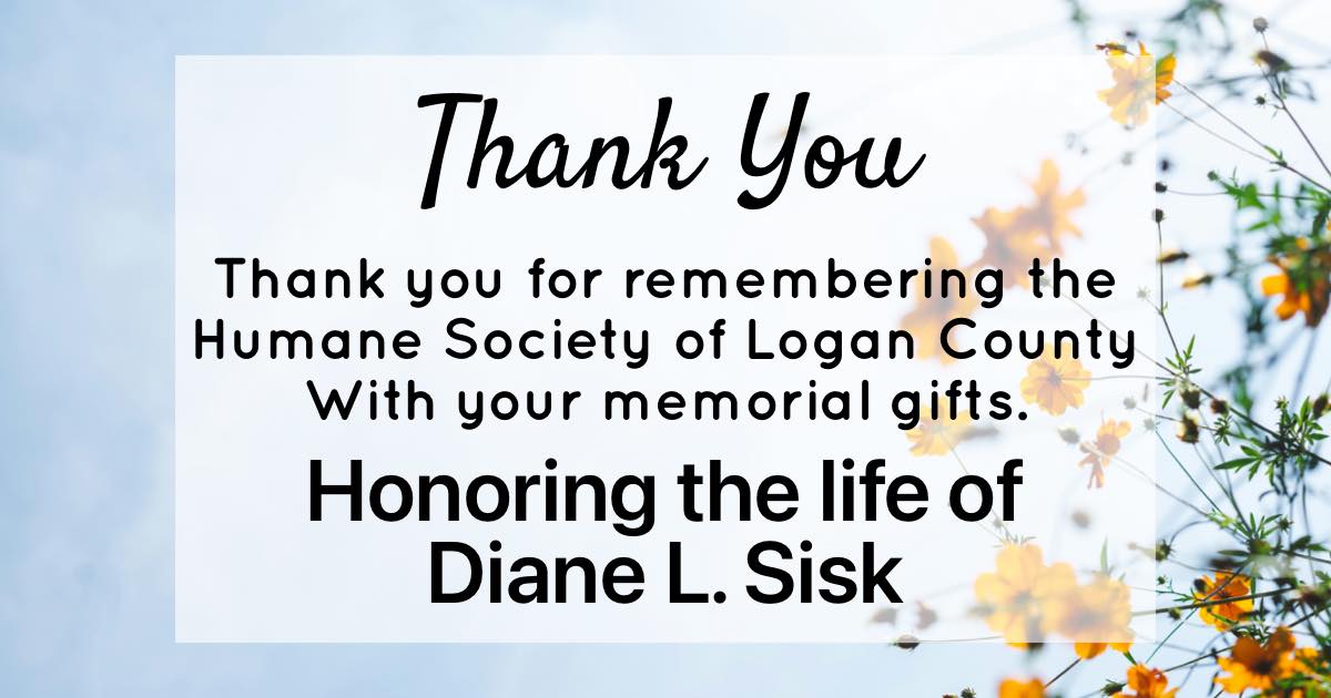 Diane L. Sisk