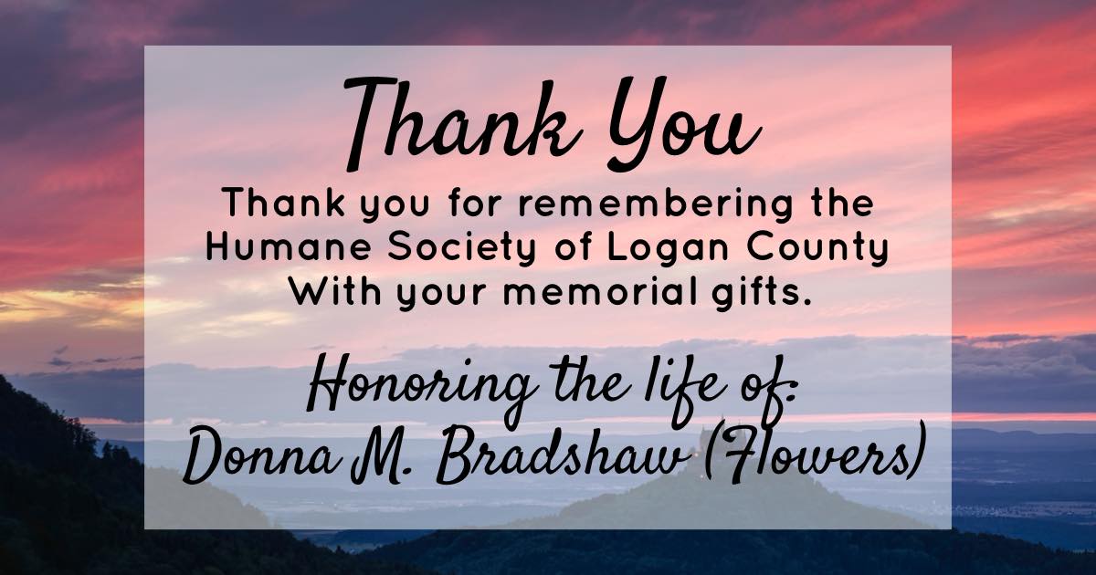 Donna M. Bradshaw